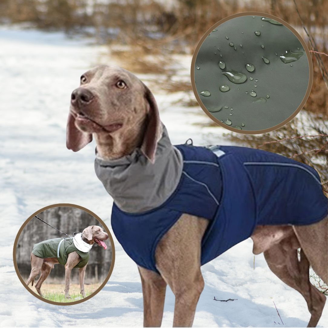 Manteau pour chien léger ergonomique pour liberté de mouvement