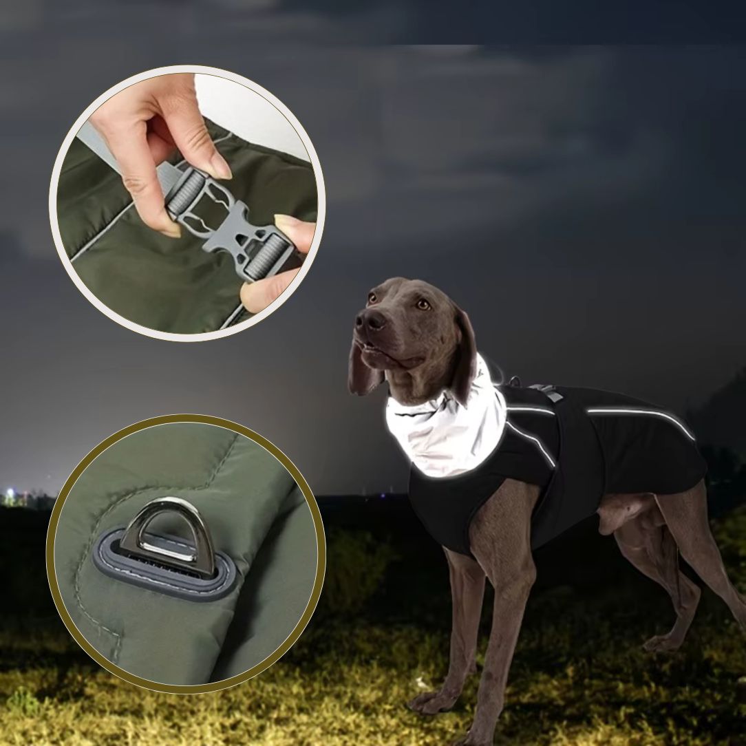 Manteau pour chien réfléchissant pour promenade nocturne en sécurité