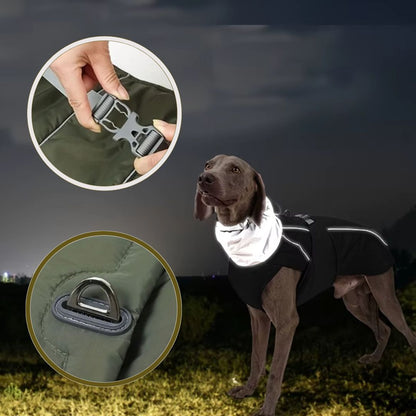Manteau pour chien réfléchissant pour promenade nocturne en sécurité