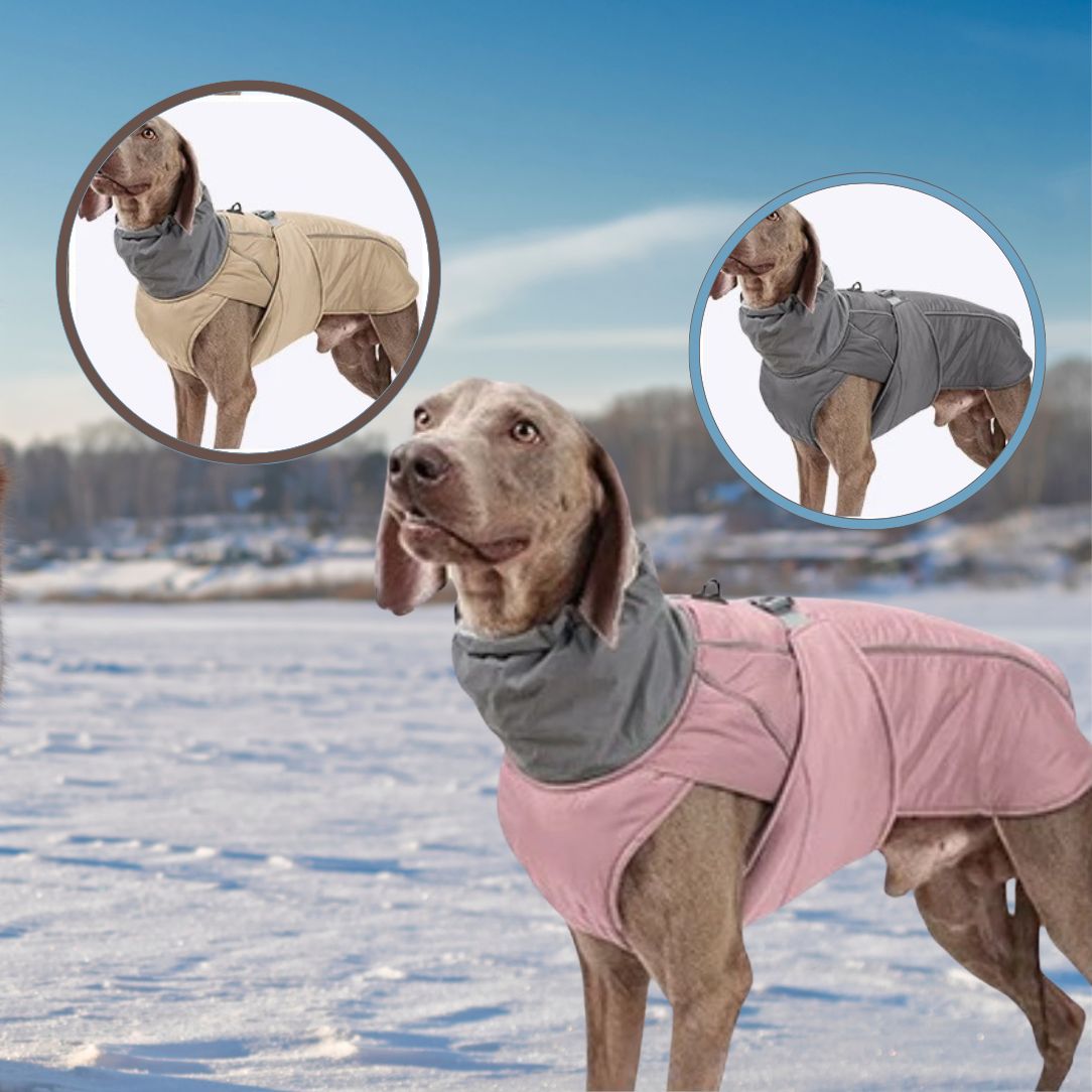 Manteau pour chien résistant et facile à nettoyer au quotidien