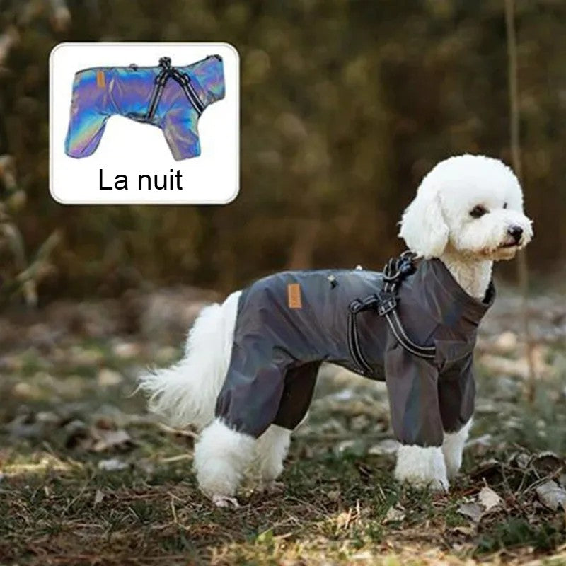 Manteau pour petit chien avec effet brillant la nuit