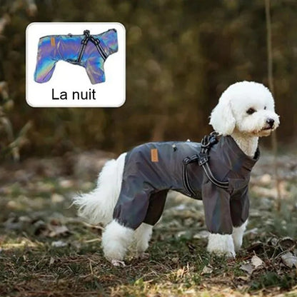 Manteau pour petit chien avec effet brillant la nuit