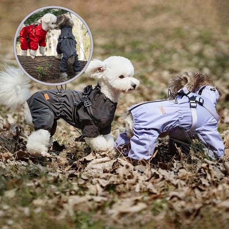 Manteau pour petit chien disponible en plusieurs couleurs tendance
