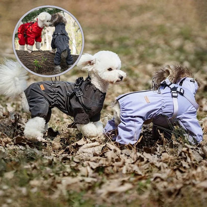 Manteau pour petit chien disponible en plusieurs couleurs tendance
