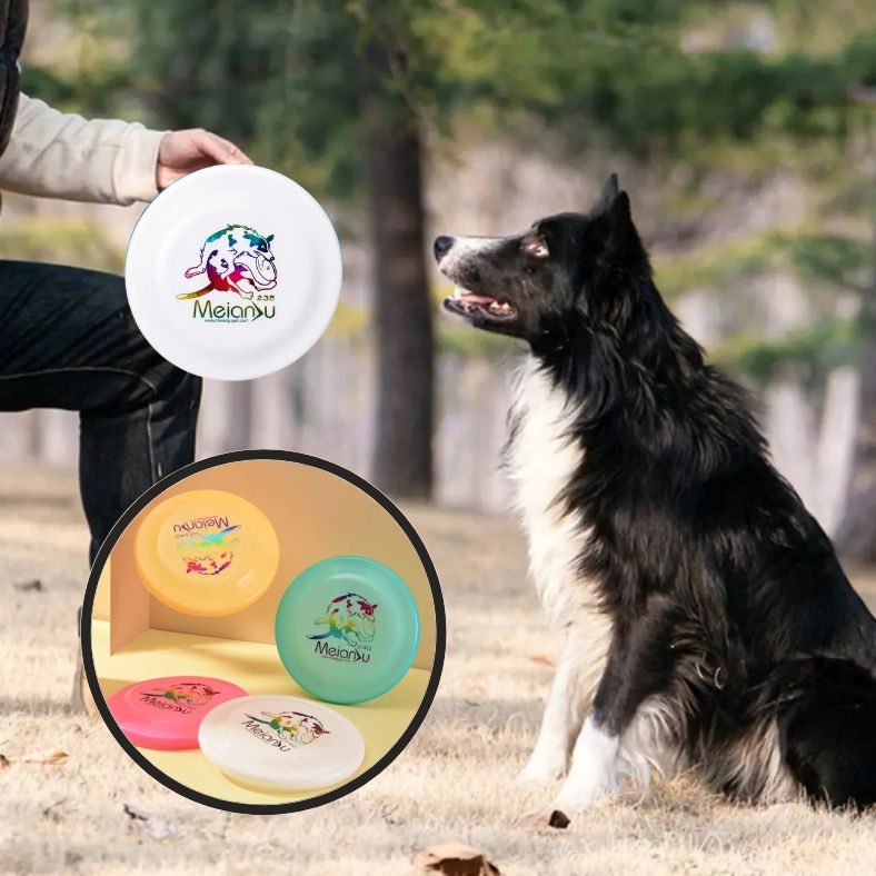 Frisbee chien | DogiFly coloré