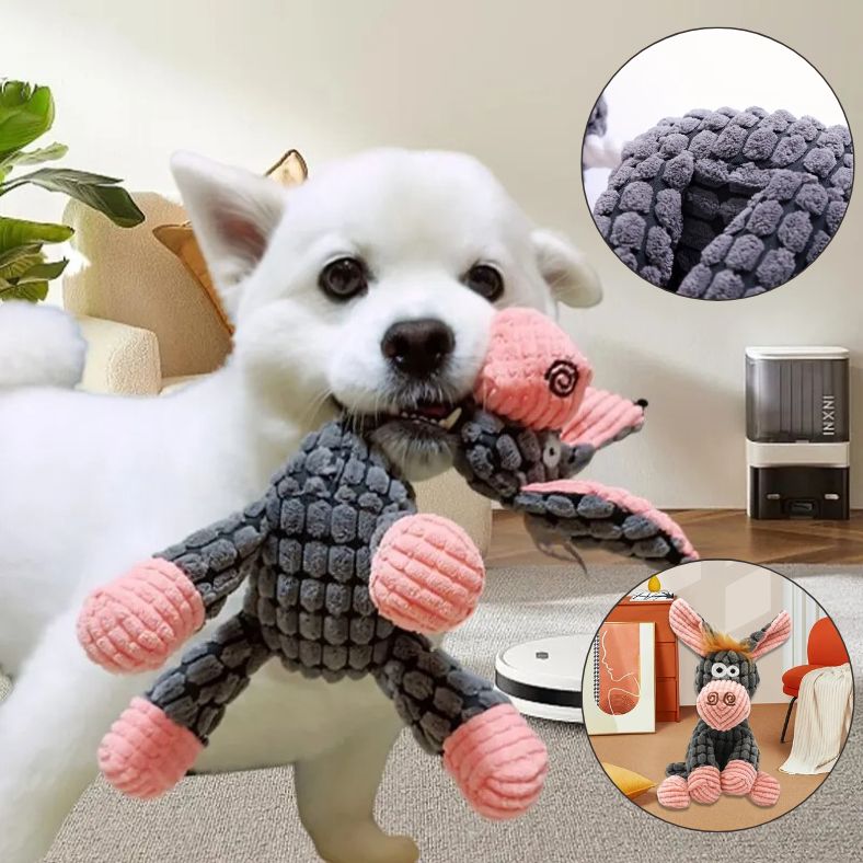 Peluche pour chien en forme d'âne tenue dans la gueule par un chien heureux