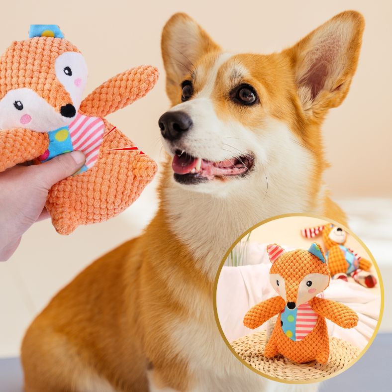 Peluche pour chien idéale pour stimulation mentale et jeu actif