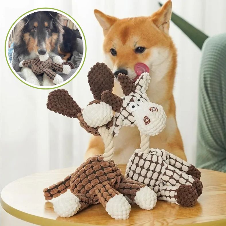 Peluche pour chien qui suscite excitation et curiosité chez le chien