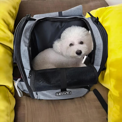 Petit chien blanc installé dans un sac de transport pour chien gris