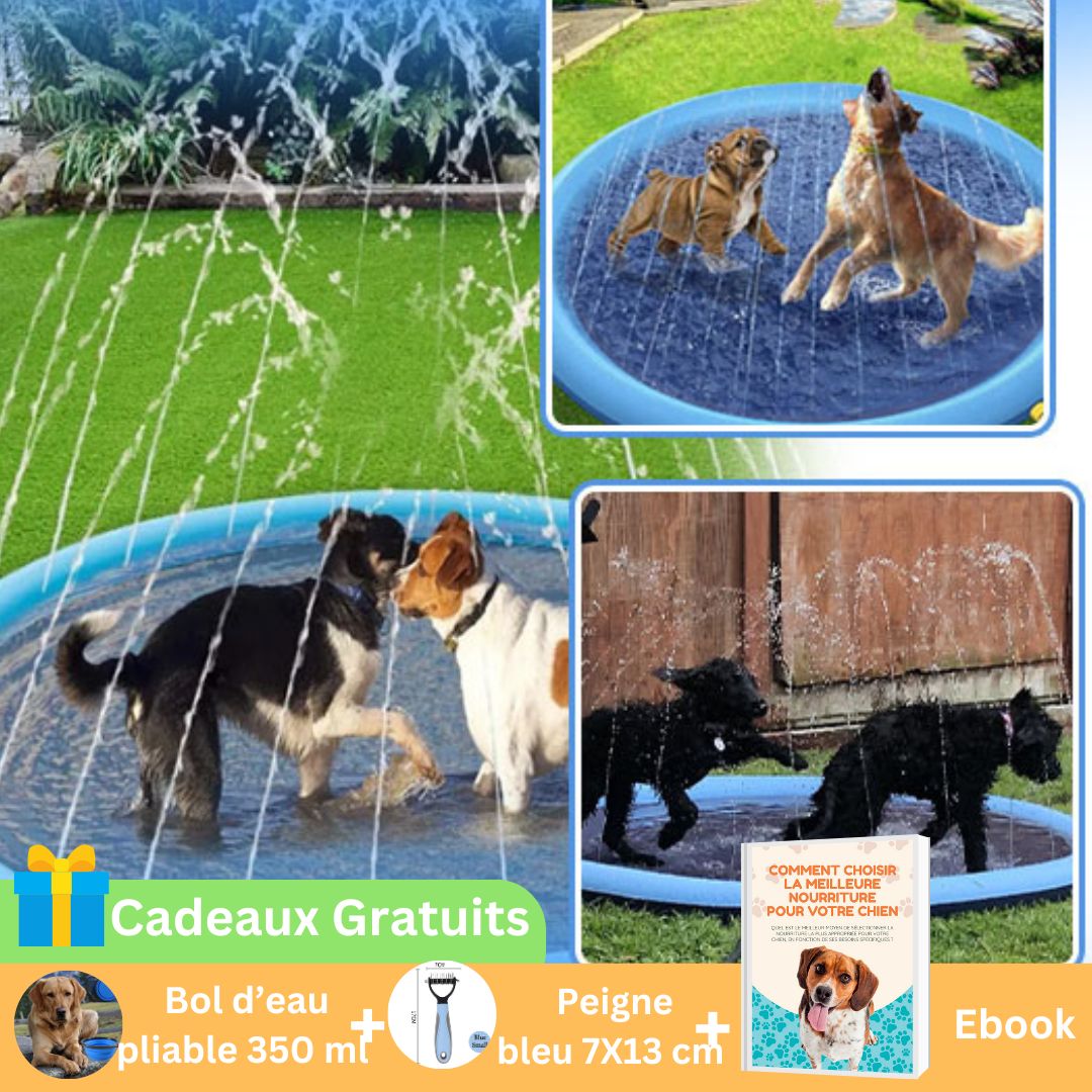 Piscine-pour-chien