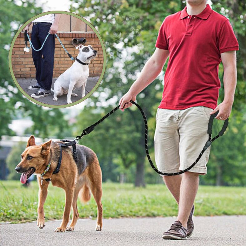 Promenade sécurisée de nuit avec laisse pour chien réfléchissante