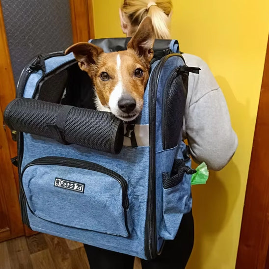 Sac de transport pour chien pliable résistant et respirant