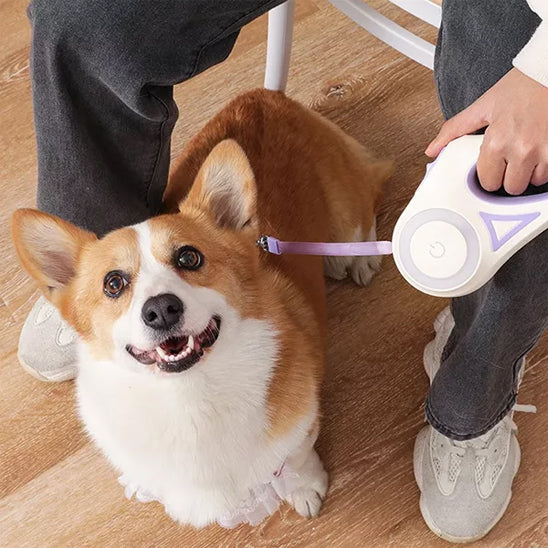 Système de freinage sur la laisse pour chien enrouleur