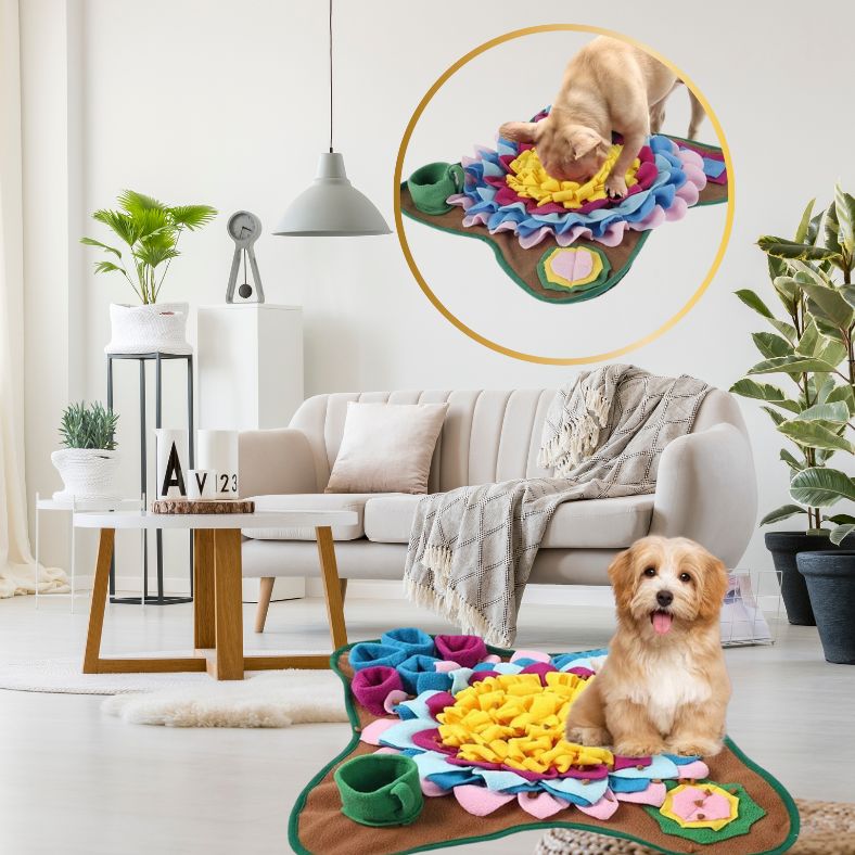 Tapis-de-fouille-chien