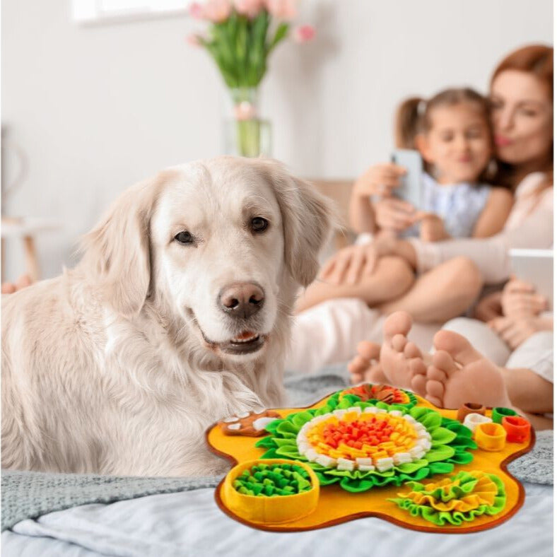 Tapis-de-fouille-chien