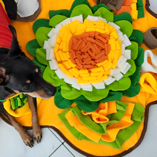 Tapis-de-fouille-chien