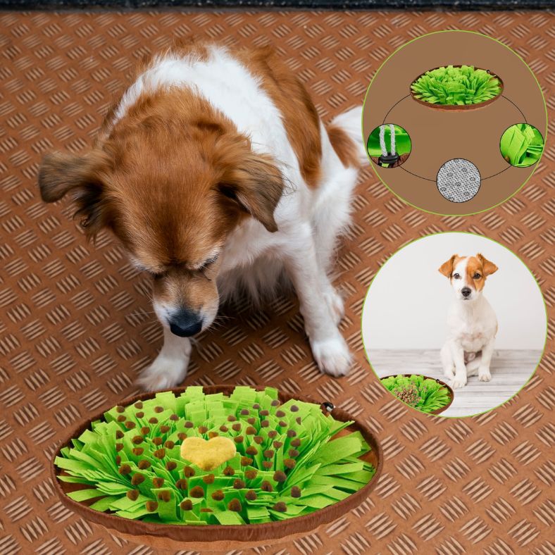 Tapis de fouille chien | SniffSeek ™