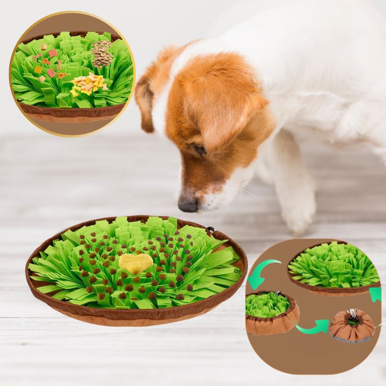 Tapis de fouille chien stimulant pour chiens énergiques