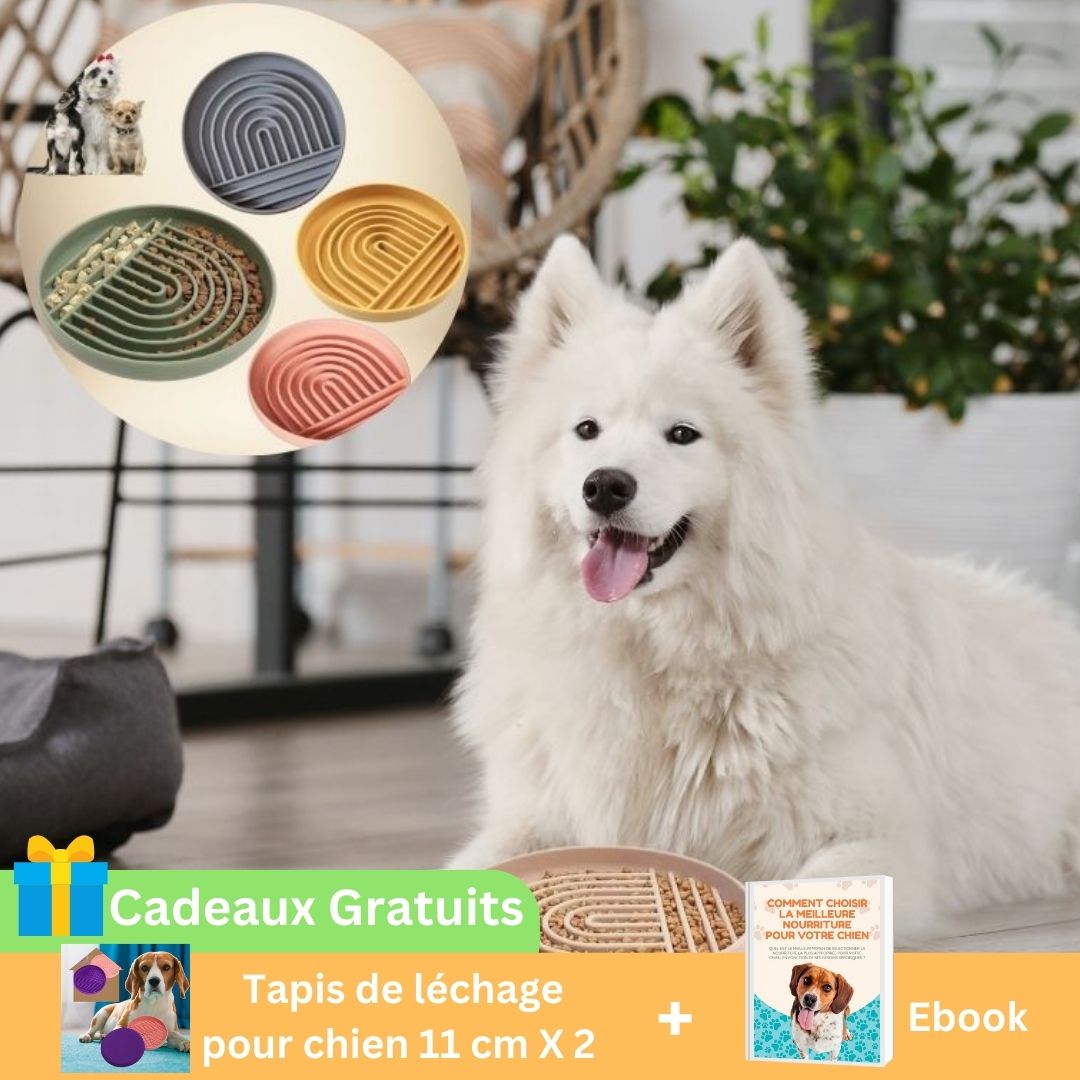 Tapis-de-lechage-chien