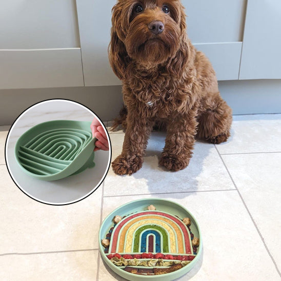 Tapis de lechage chien rempli de nourriture appétissante et colorée