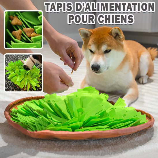 Utilisation du tapis de fouille chien comme tapis d’alimentation