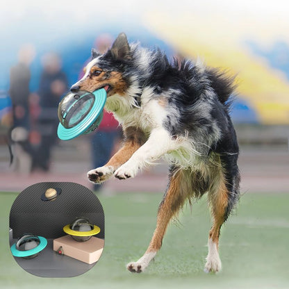 Vue des deux couleurs du distributeur de croquettes chien disponibles
