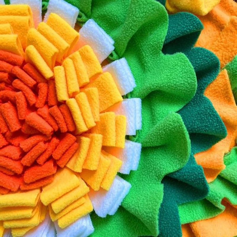 Vue détaillée du tapis de fouille chien avec textures et couleurs variées

