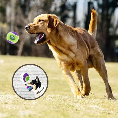 Balle pour chien avec couineur intégré pour stimuler l’intérêt