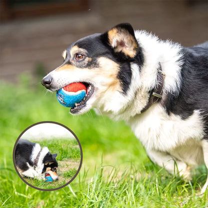 Balle pour chien conçue pour rebondir et stimuler