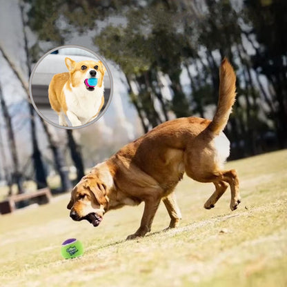 Balle pour chien qui encourage à courir et à se dépenser