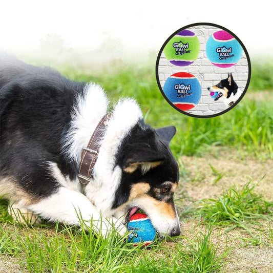 Balle pour chien résistante pour jeux en plein air