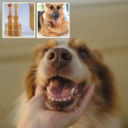 brosse-a-dent-chien-dents-blanches