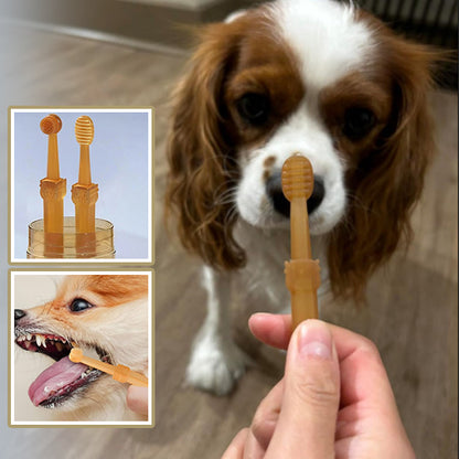 brosse-a-dent-chien-nettoyage-quotidien