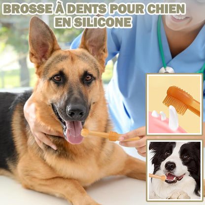 brosse-a-dent-chien-silicone