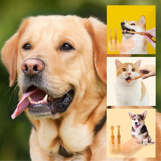 Brosse a dent chien | SilicoPet™ - Annie - Mo