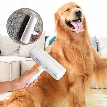 brosse-anti-poil-dans-une-maison-propre-et-sans-poils-de-chien