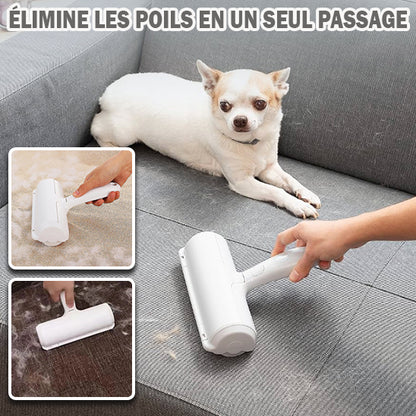 brosse anti poil pour chien et chat utilisée sur un canapé
