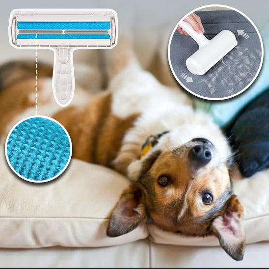 brosse anti poil réutilisable pour nettoyer les tapis et fauteuils