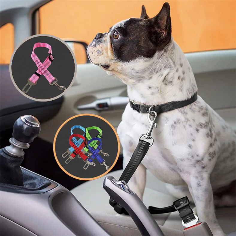 Ceinture de sécurité pour chien avec amortisseur élastique intégré
