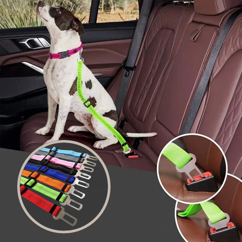 Ceinture de sécurité pour chien-chien serein et bien attaché