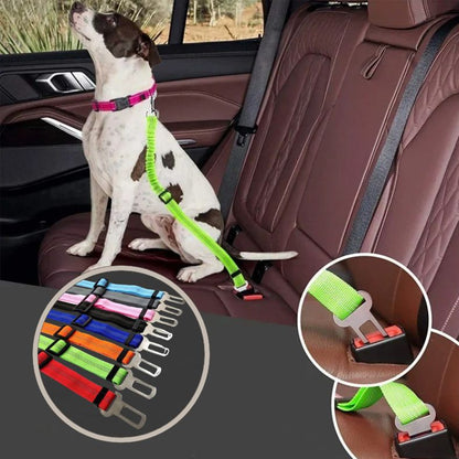 Ceinture de sécurité pour chien-chien serein et bien attaché