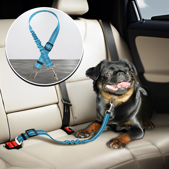 Ceinture de sécurité pour chien en position couchée confortable
