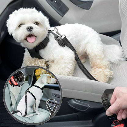 Ceinture de sécurité pour chien tranquillement installé sur la banquette