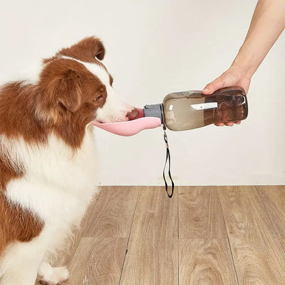 Chien assis buvant dans gourde pour chien 800ml tenue par maître