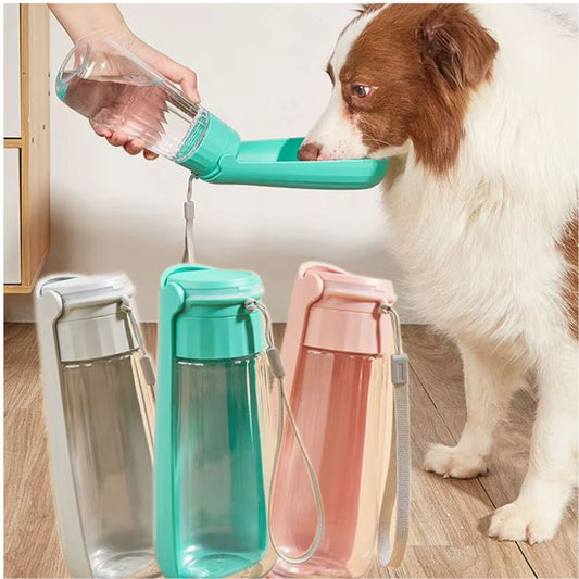 Chien buvant dans une gourde verte, présentation des trois couleurs disponibles