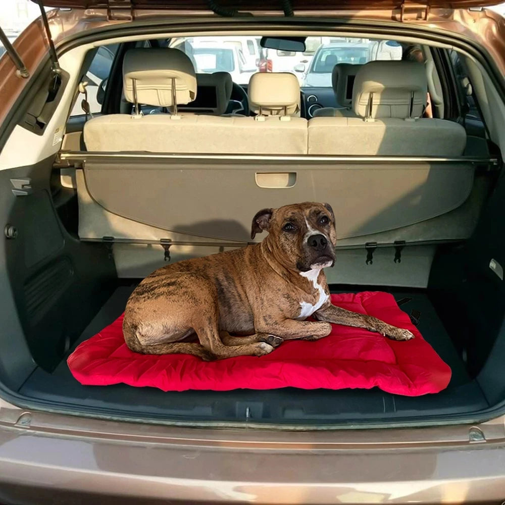 Chien confortablement installé sur tapis pour chien rouge voiture