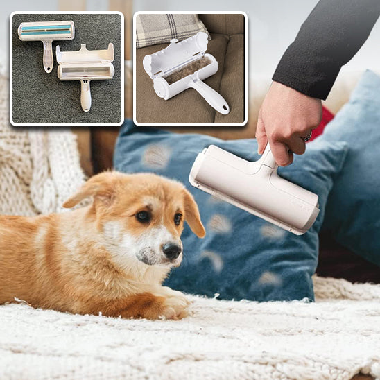 chien couché sur son canapé après utilisation de la brosse anti poil