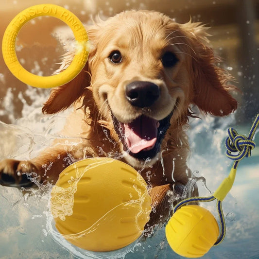 chien dans l’eau avec chaque jouet pour-chien flottant en vedette