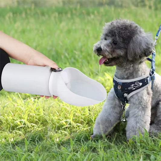 Chien désaltéré avec la gourde pour chien après une randonnée