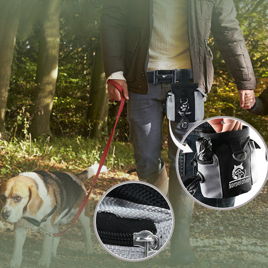 Chien en promenade avec son maître utilisant pochette friandise chien